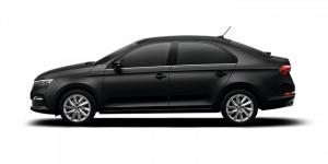 Deep Black Pearl metallic C9X 2T2T